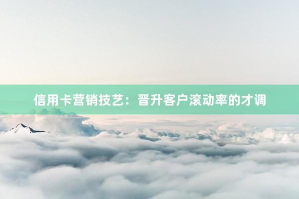 信用卡营销技艺：晋升客户滚动率的才调