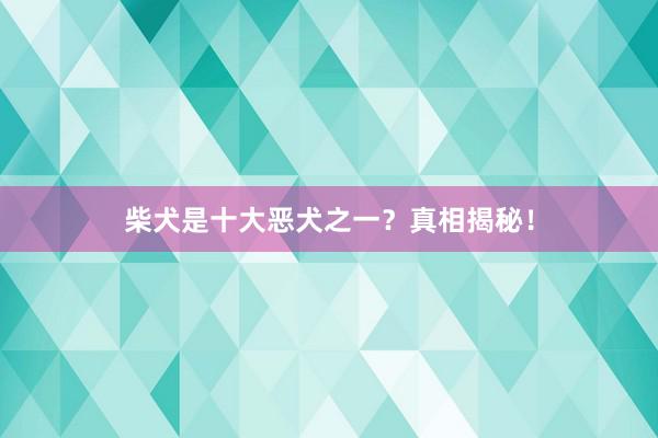 柴犬是十大恶犬之一？真相揭秘！